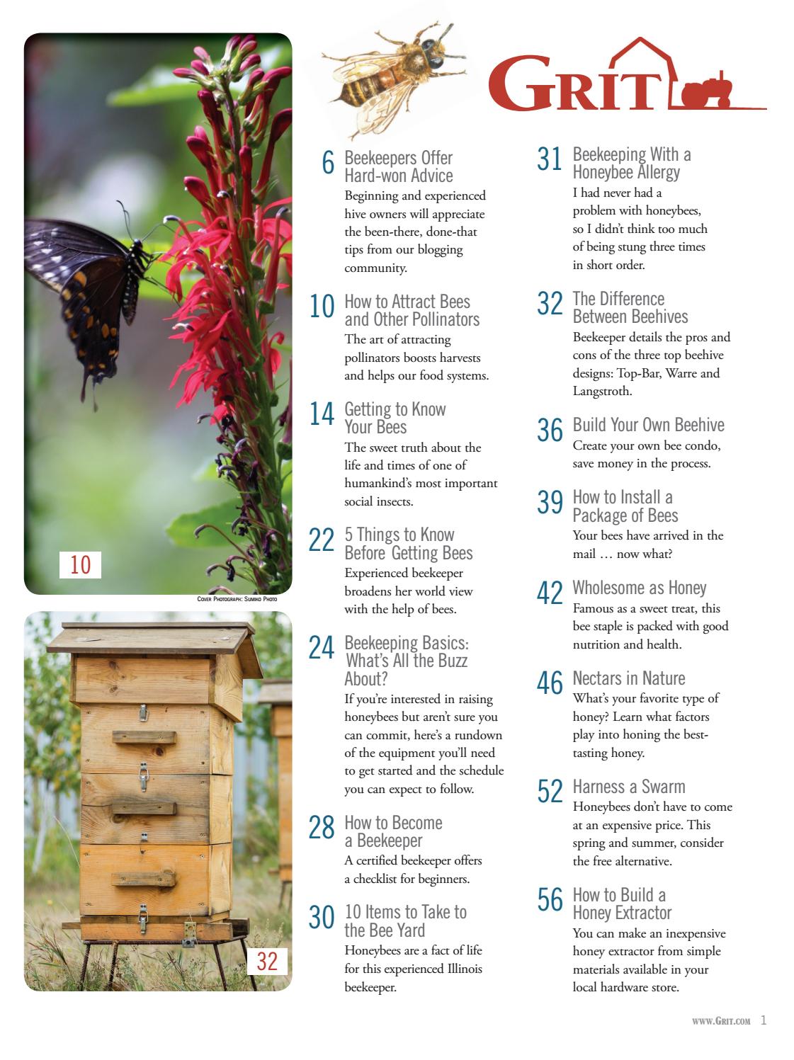 8136 Grit Guide To Backyard Bees And Honey By Ogden Publications