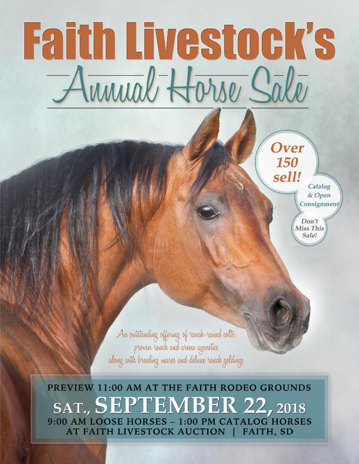 Faith Livestock's Horse Sale by RPI Promotions Issuu