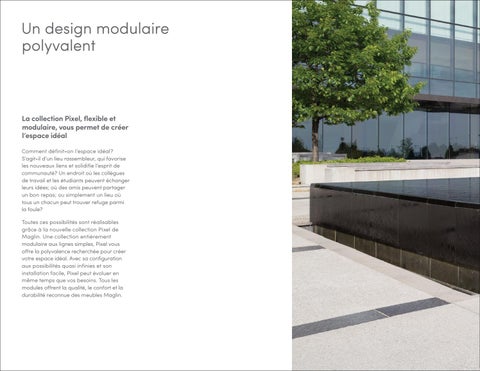 Un design modulaire polyvalent - Pixel 第 2 页