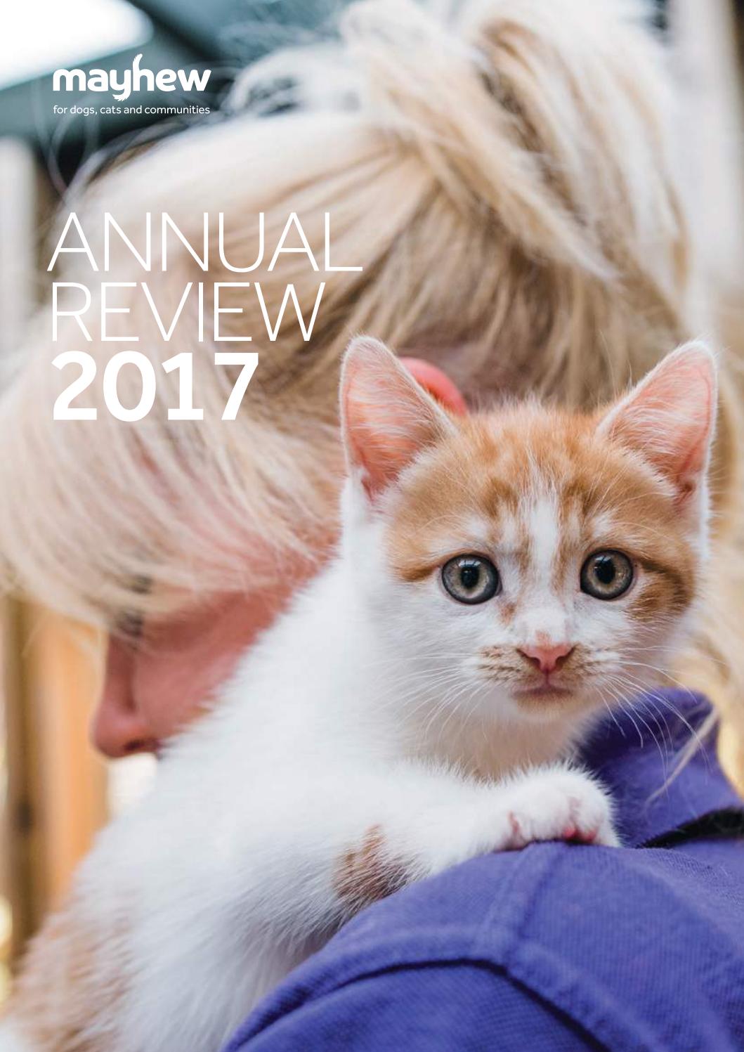 mayhew cats for adoption