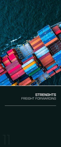 Scanwell Logistics 第 12 页