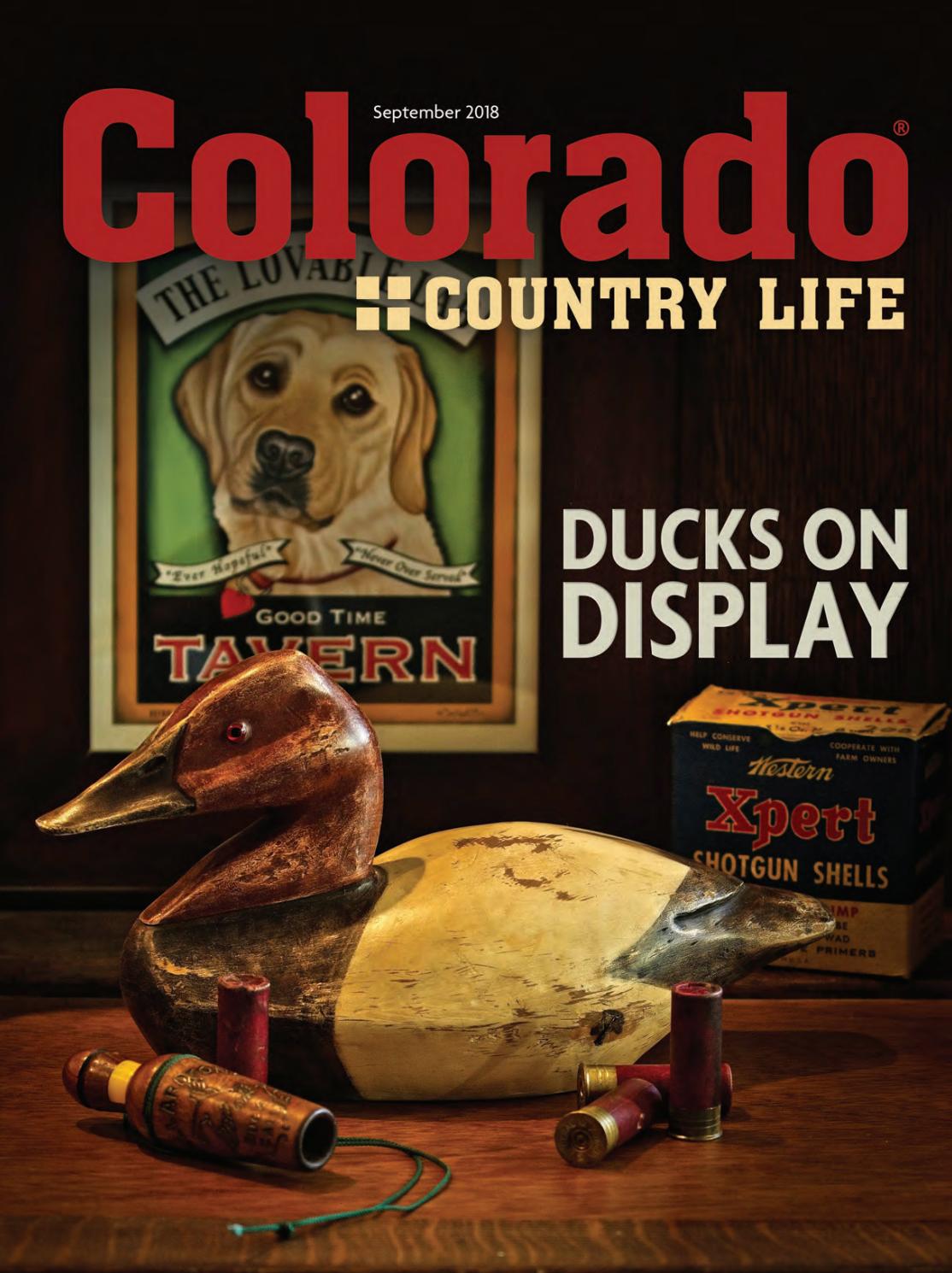 poudre river gun dogs