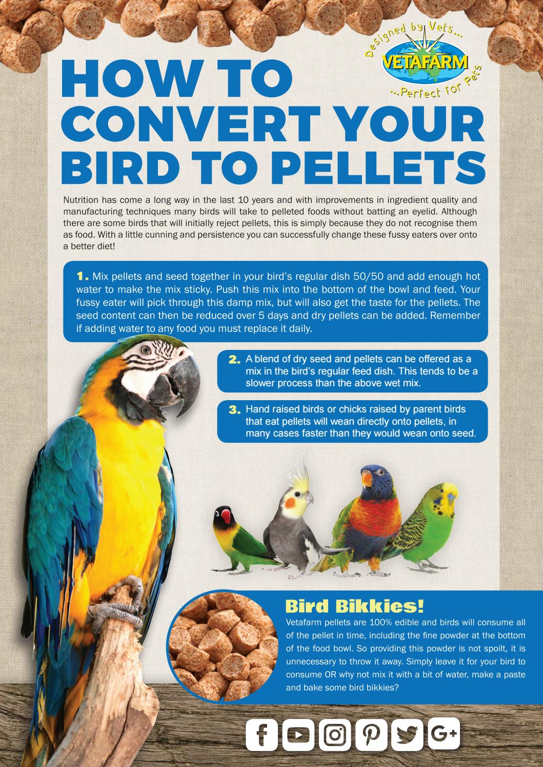 How to Convert Your Bird to Pellets by Vetafarm Issuu