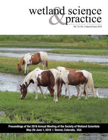 Special Issue 2018 Wetland Science Practice By Society Of Wetland