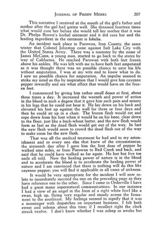 Page 233