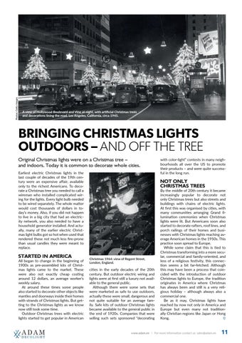 ADAMLIGHTS Adam Decolight Christmas 灯饰目录 2018/ 2019 第 11 页