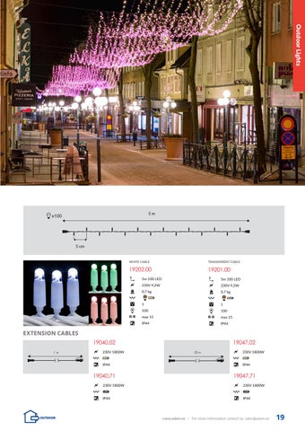 ADAMLIGHTS Adam Decolight Christmas 灯饰目录 2018/ 2019 第 19 页
