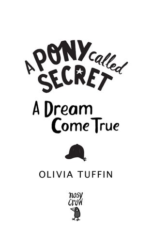 A Pony Called Secret: A Dream Come True - 预览 第 3 页