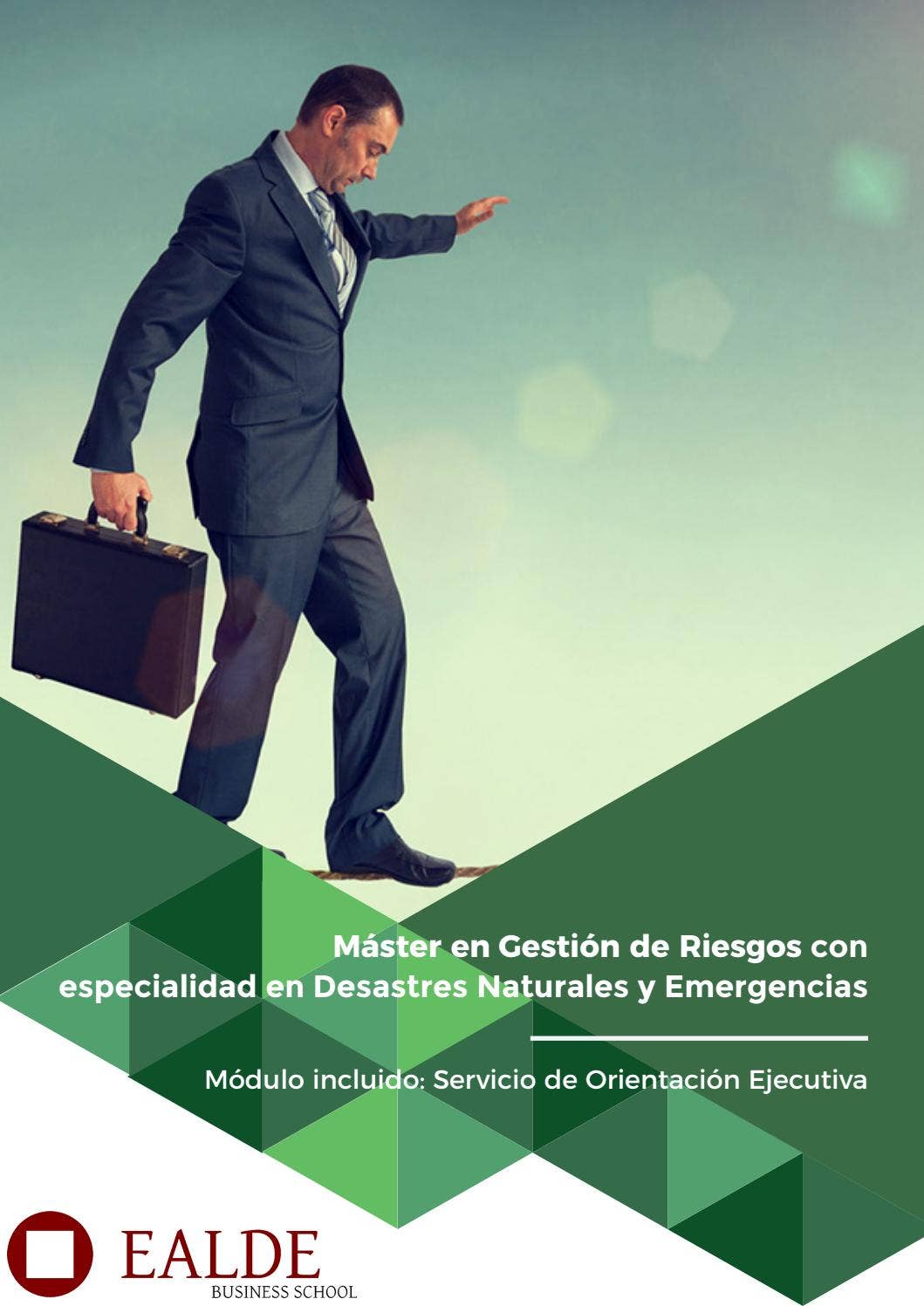Máster en Gestión de Riesgos con especialidad en Desastres Naturales y ...