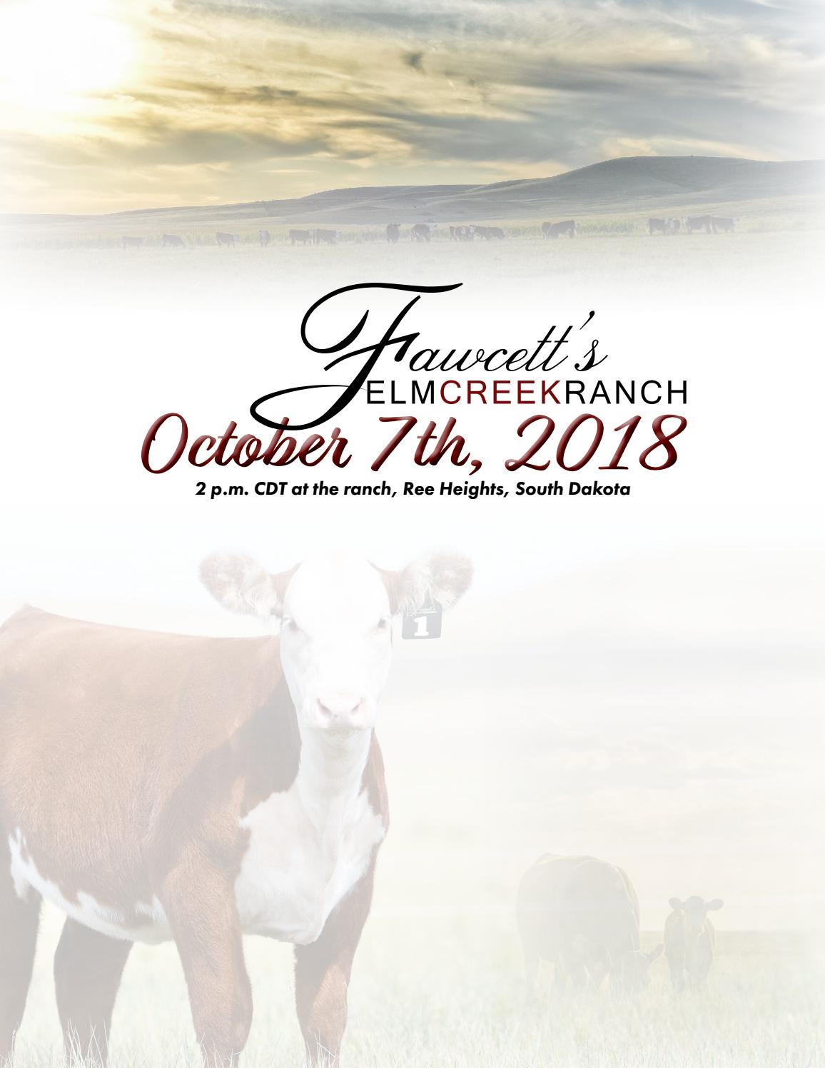 Fawcett's Elm Creek Ranch Fall Female Sale by American Hereford