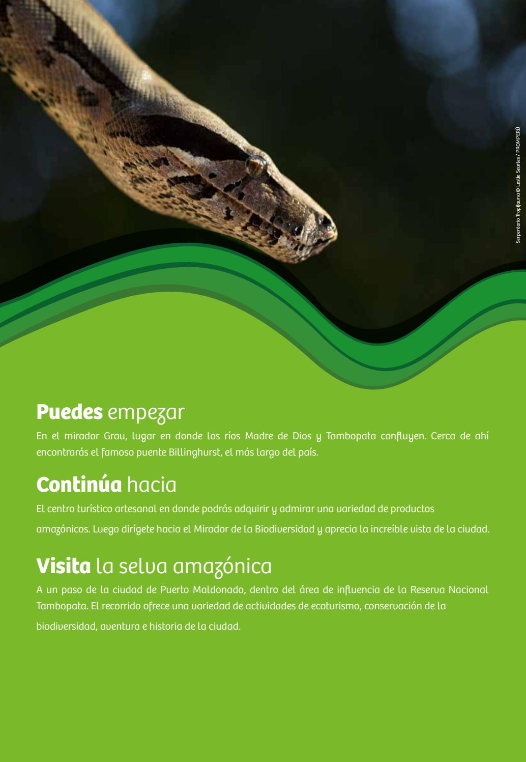 Puerto Maldonado - Infografia by Visit Peru - Issuu