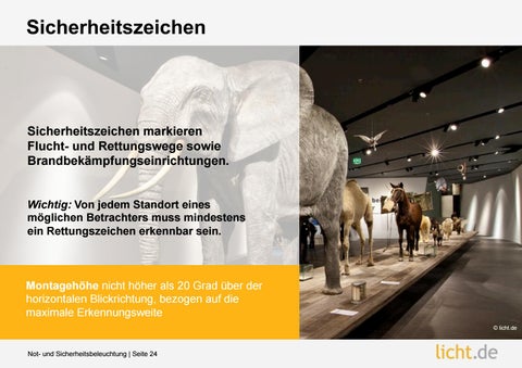 Präsentation: Not- und Sicherheitsbeleuchtung 第 24 页