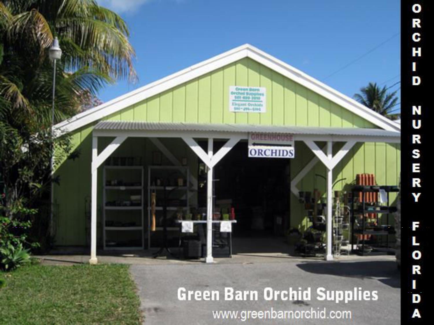 Orchid Nursery Florida by Green Barn Orchid Supplies Issuu