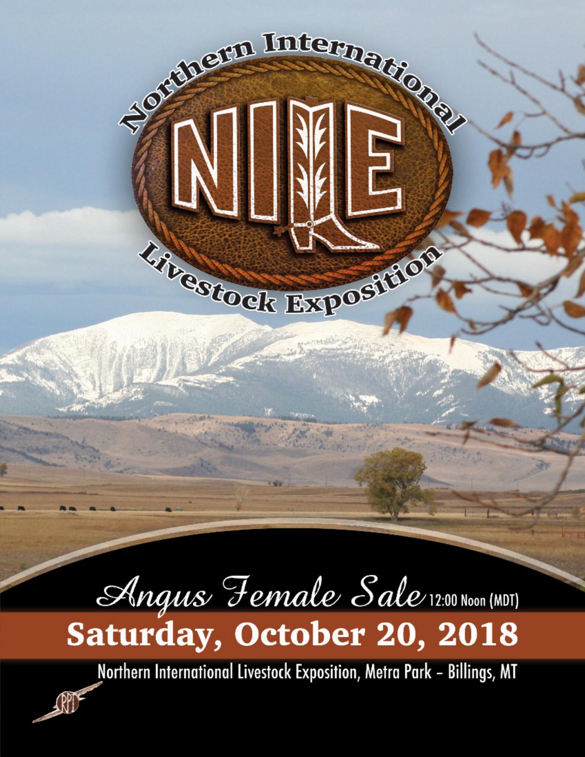 2018 NILE Angus Female Sale by RPI Promotions Issuu
