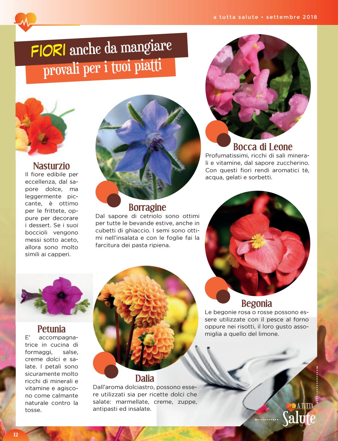 La Piazza 579 By La Piazza Srl Issuu