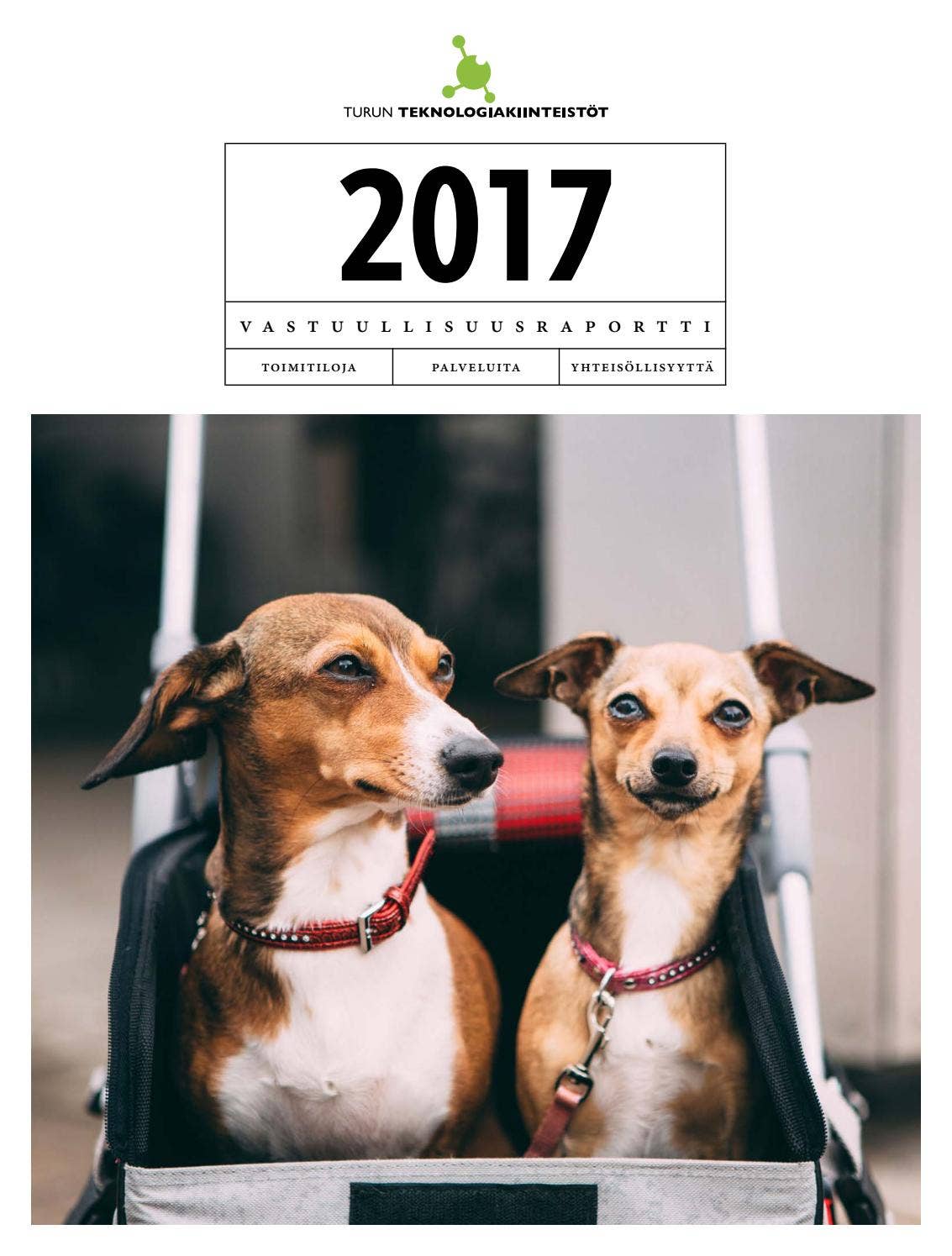 Vastuullisuusraportti 2017