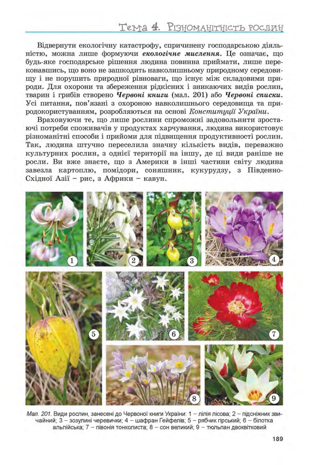 Біологія 6 клас Л.І. Остапченко, П.Г. Балан, Н.Ю. Матяш (2014 рік) by ...