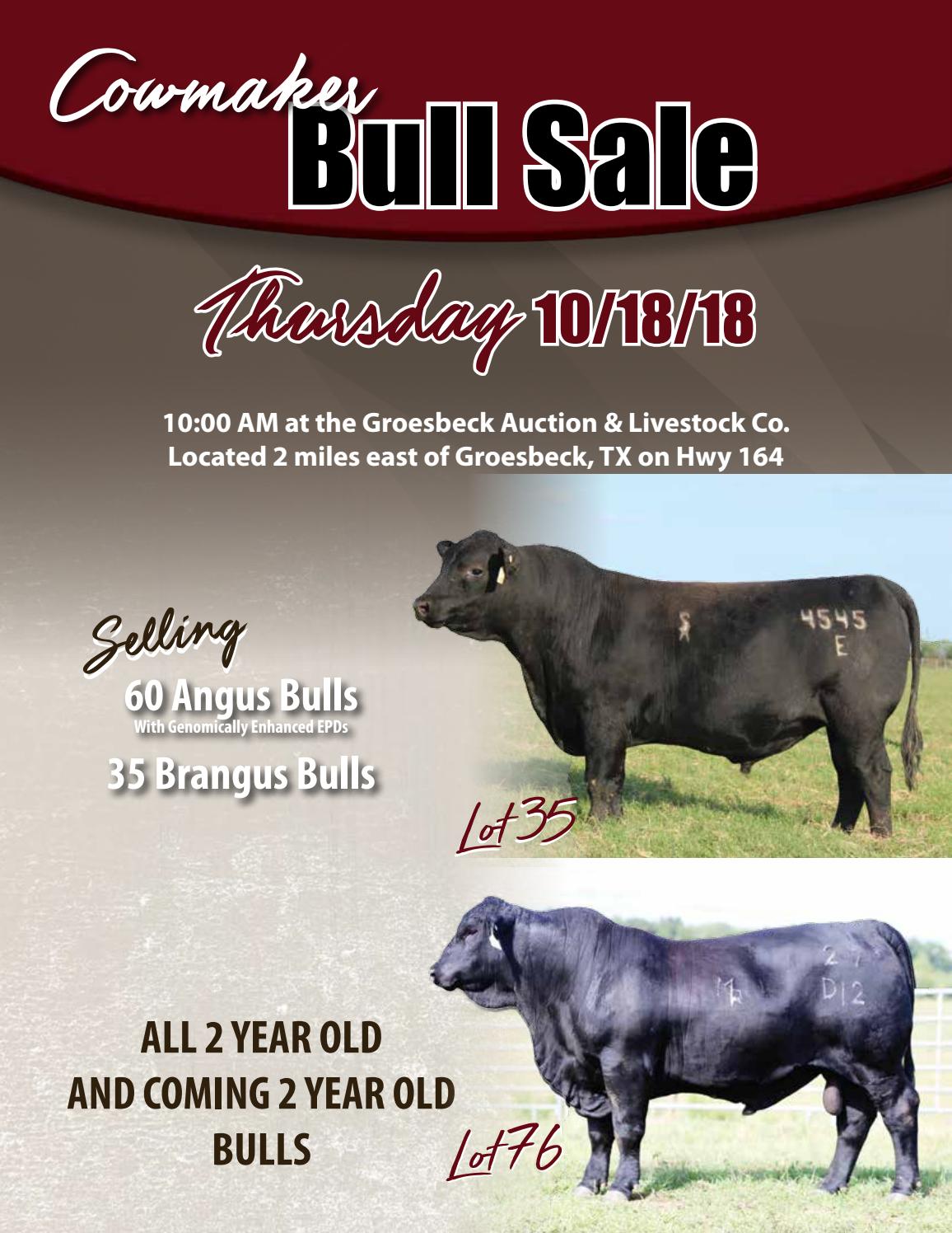 Fall 2018 Cowmaker Bull Sale Catalog by Crystal Devoll Issuu