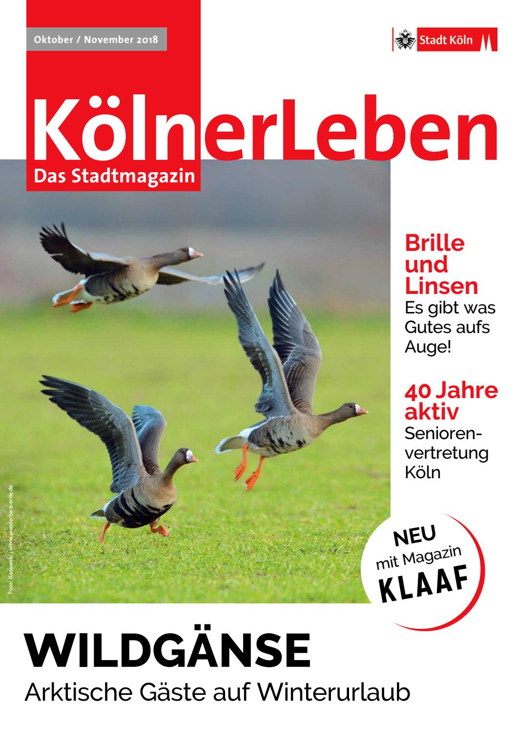 Tötung Etage 2 Online-Matchmaking nicht funktioniert