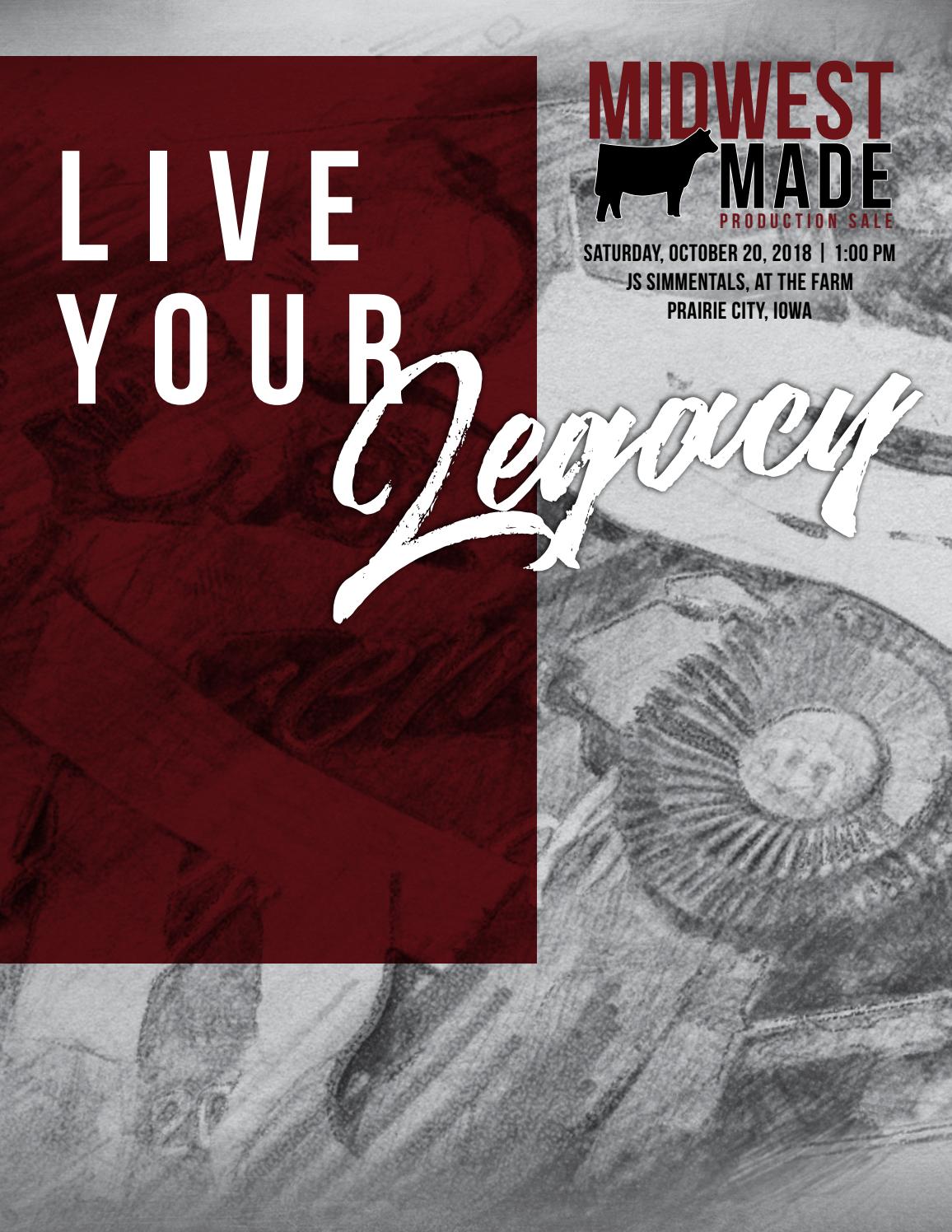 American Insurance Marketing Solutions New Payment Model