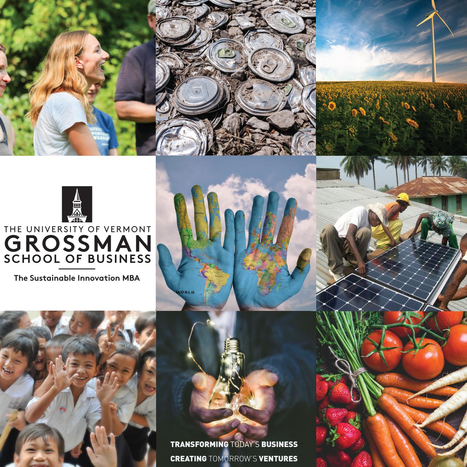 UVM Sustainable Innovation MBA eBook by UVM Grossman ...