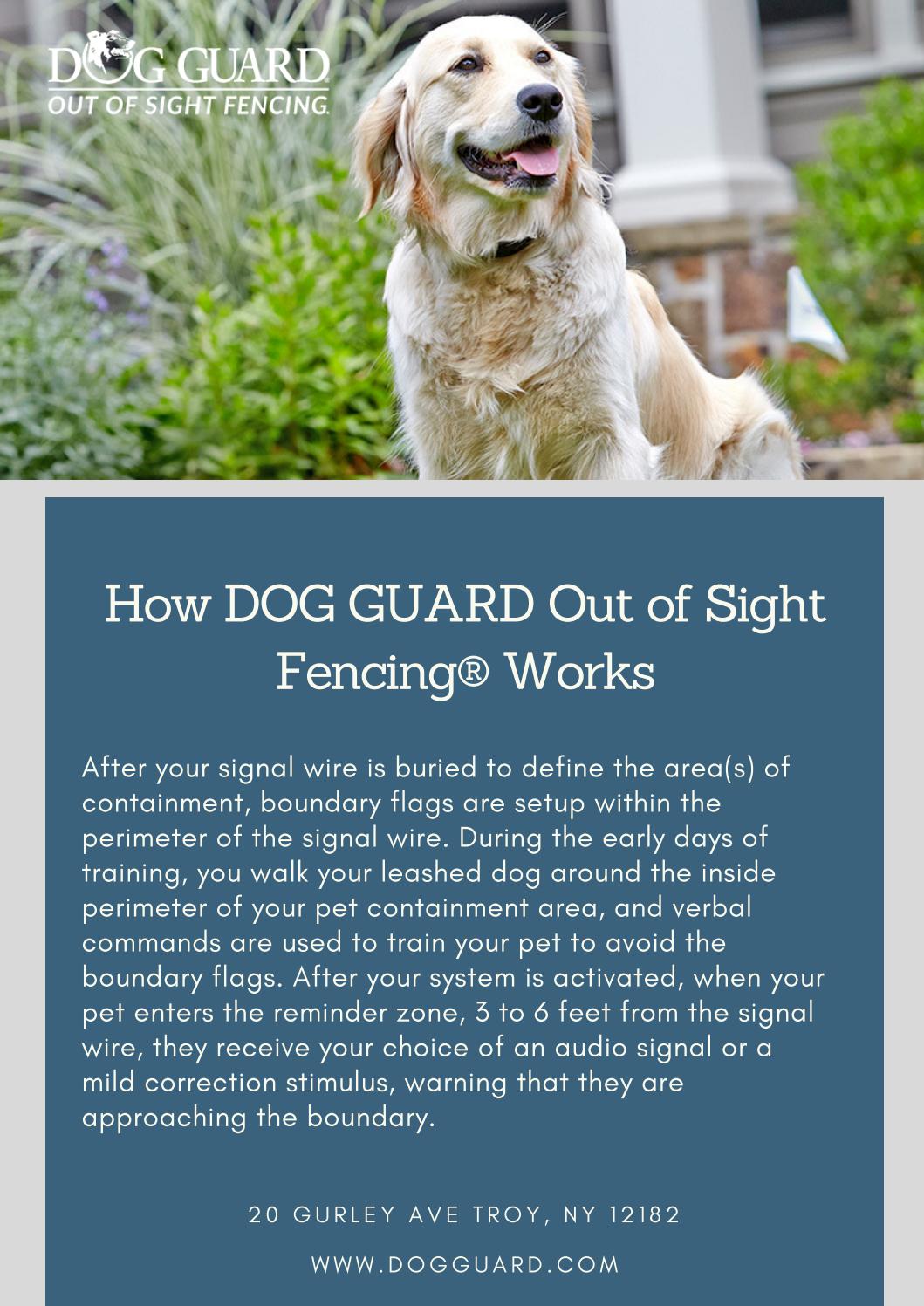 dog guard out of sight fencing