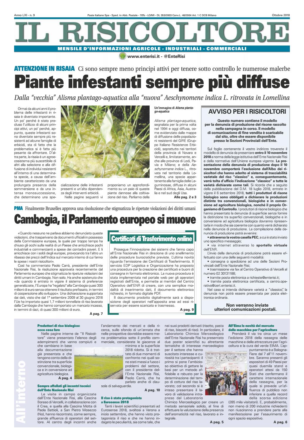riso nella dieta filippina pdf