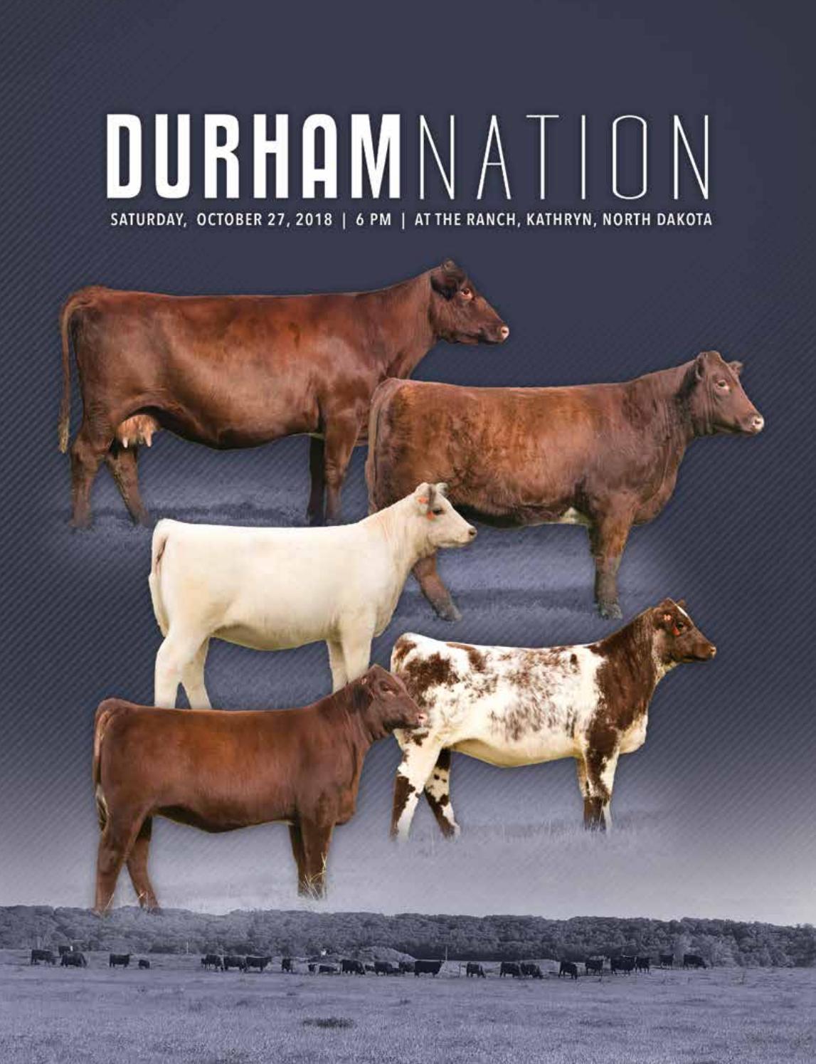 2018 Durham Nation Sale Catalog by Ranch House Designs Issuu