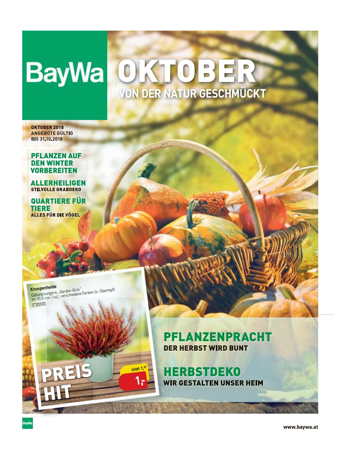 33 cm d vorne zum Bepflanzen mit Folie 8 cm hoch Deko Pflanz-Kranz Birke ca 33 cm d vorne zum Bepflanzen mit Folie 8 cm hoch Deko Pflanz-Kranz Birke ca