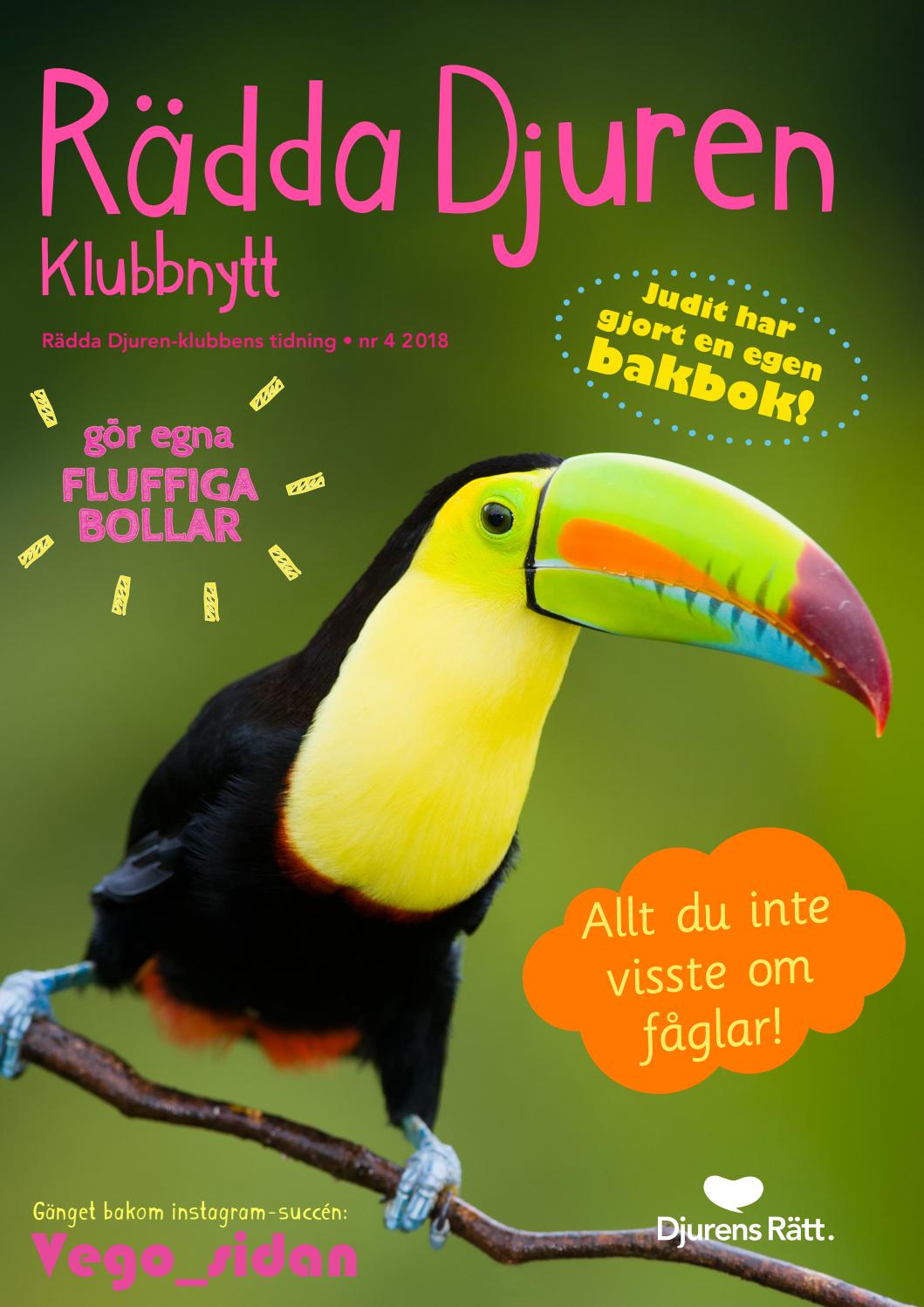 Klubbnytt #4 2018 (Rädda Djuren-klubben) by Djurens Rätt - Issuu