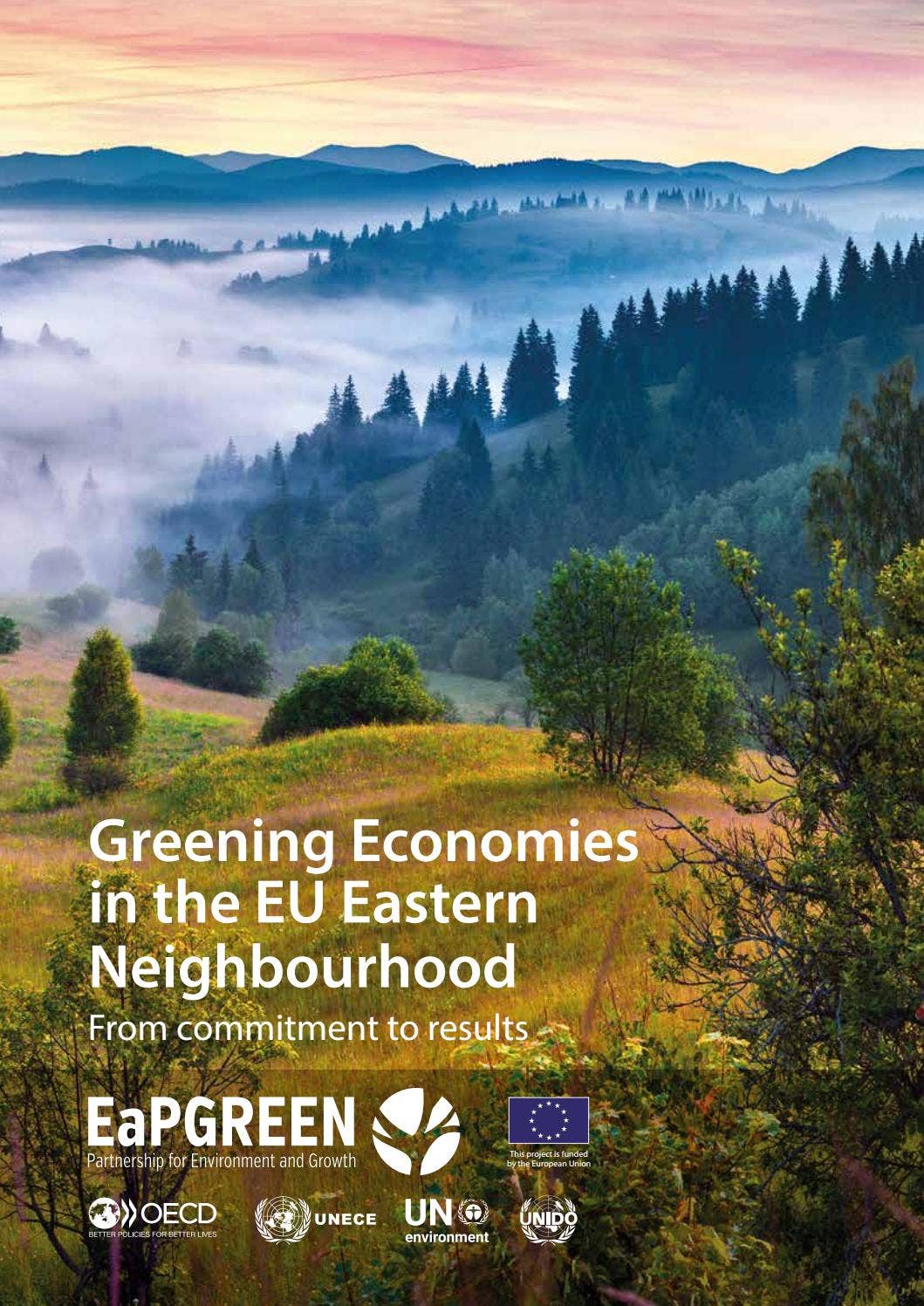 Greening Economies in the EU Eastern Neighbourhood - From Commitment to ...