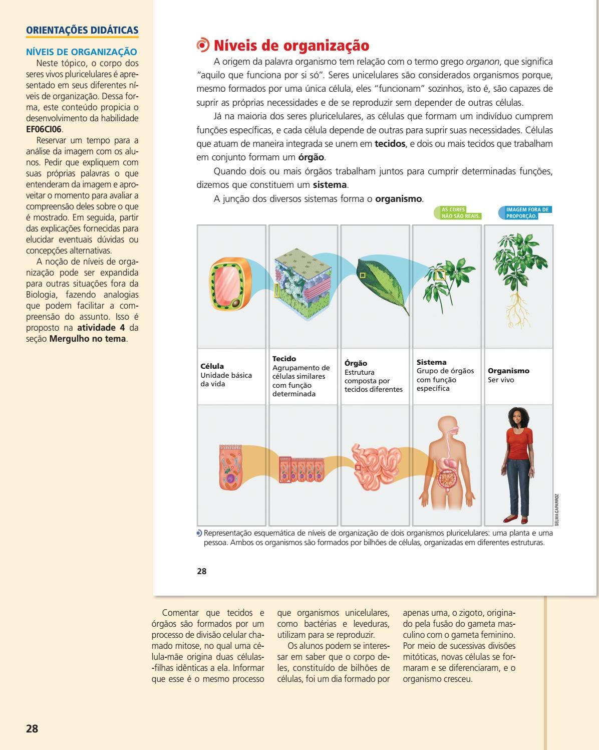 Evoluir Ciências by FTD Educação - Issuu, image size:1196x1497