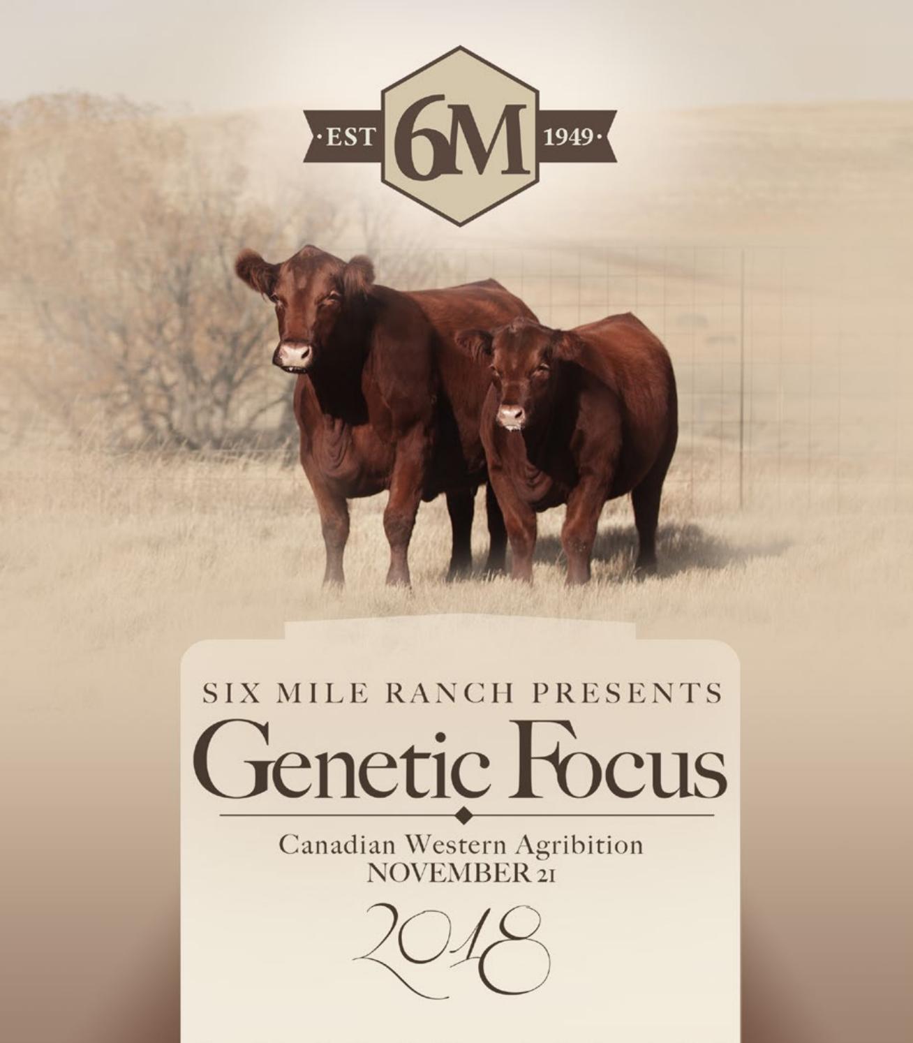 Six Mile Ranch Presents Focus 2018 by jamieraepittman Issuu