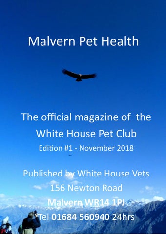 Malvern Pet Health Edition 1 November 2018 by Pete Issuu