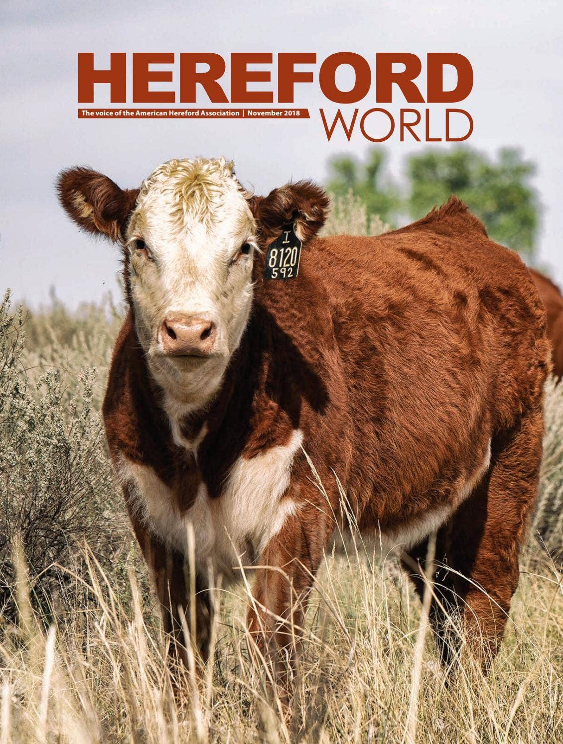 November 2018 Hereford World by American Hereford Association Issuu