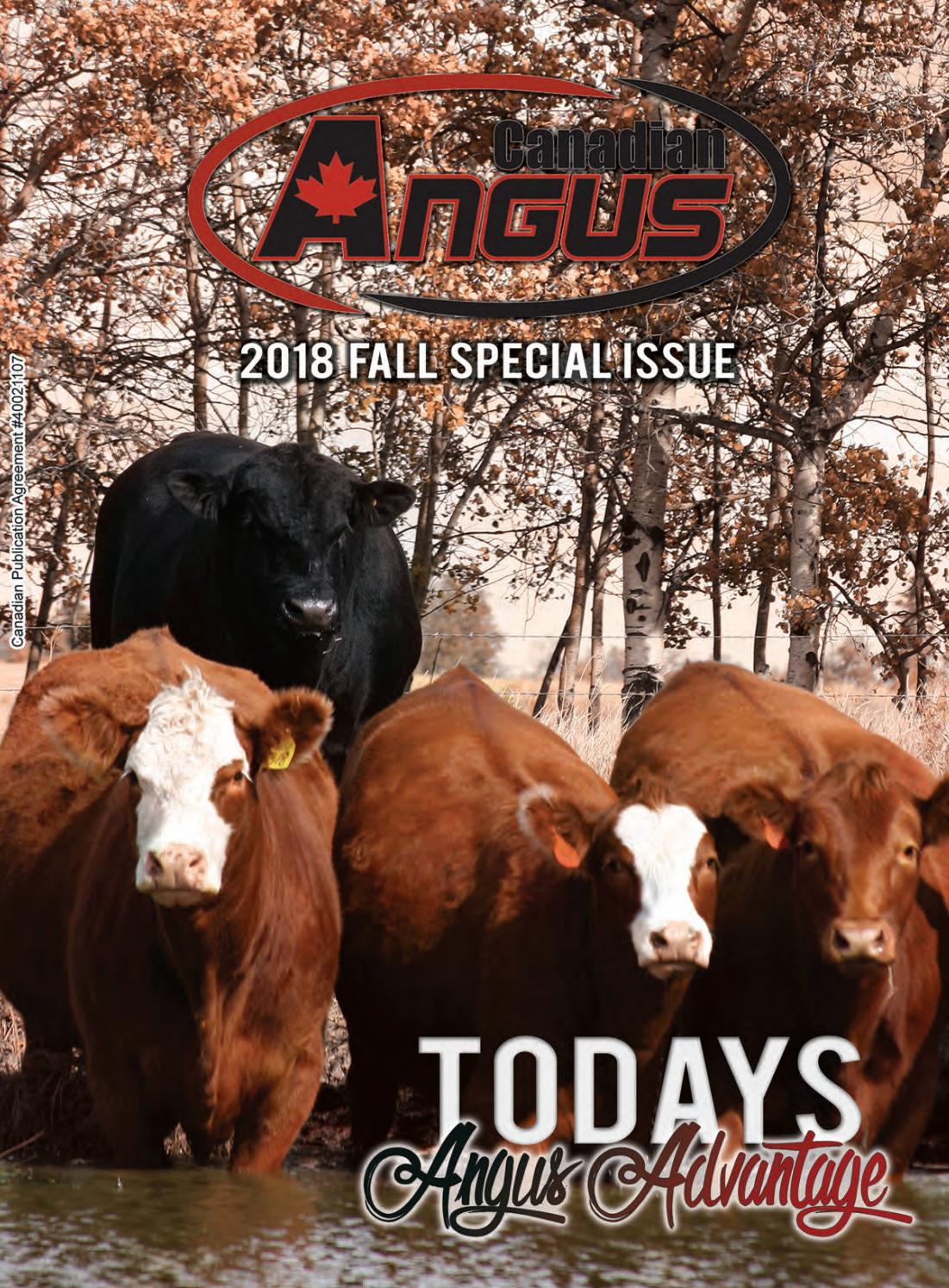 EVERBLACK ANGUS BULL SALE by Today's Publishing Inc. - Issuu