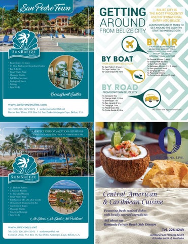 Caribbean Culture and Lifestyle - 期 3 - 2018 第 17 页