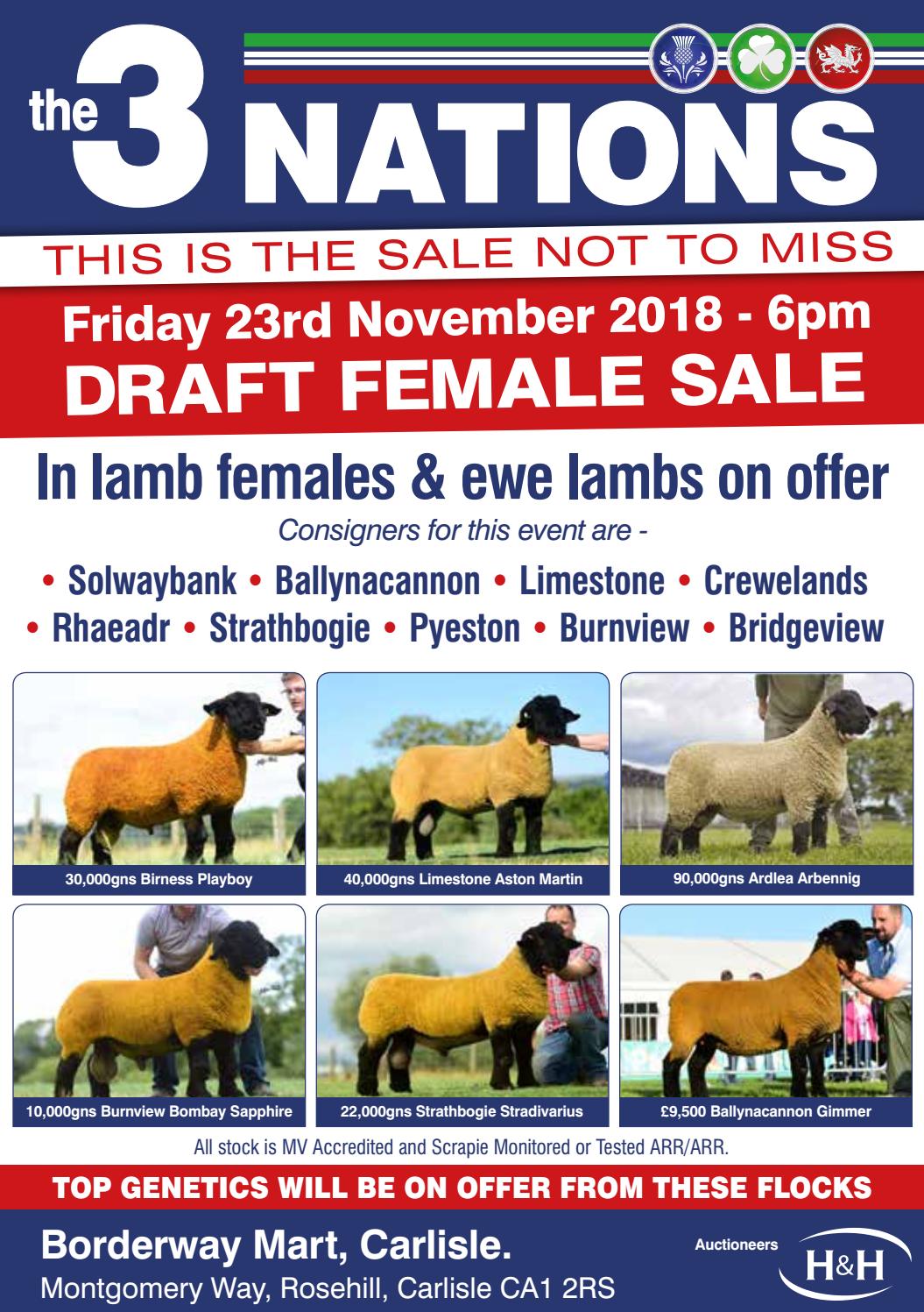 3Nations Suffolk Sale 231118 by Harrison & Hetherington Issuu