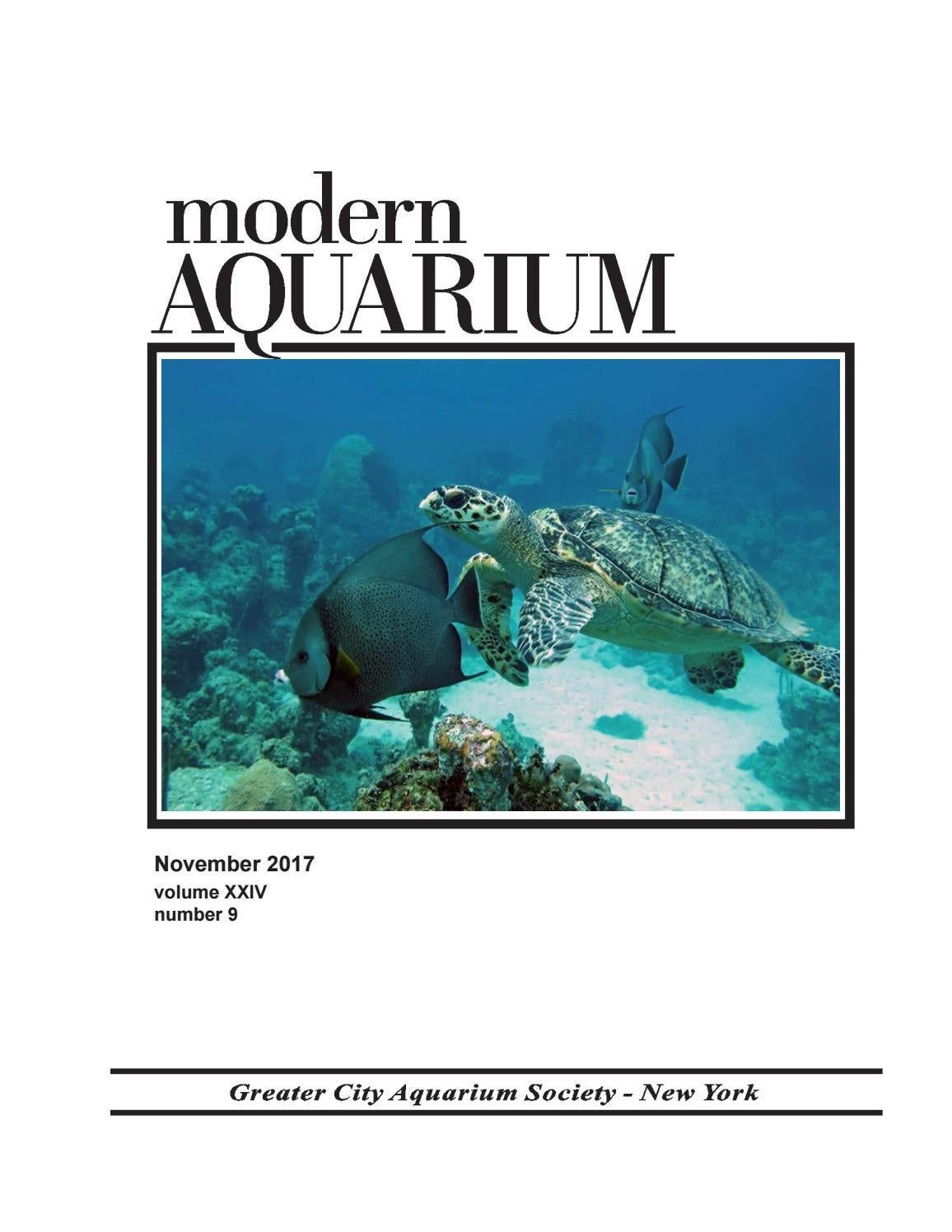 Modern Aquarium By Dan Radebaugh Issuu