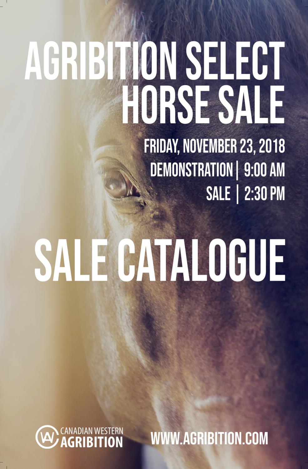 Agribition Select Horse Sale Catalogue by Agribition Issuu