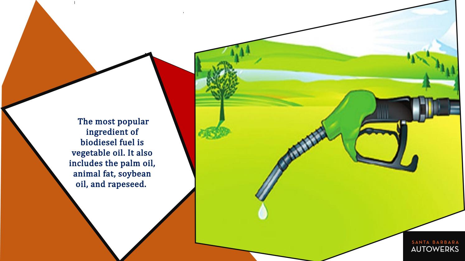 What are the Different Types of Fuel Used in your Car by Santa Barbara