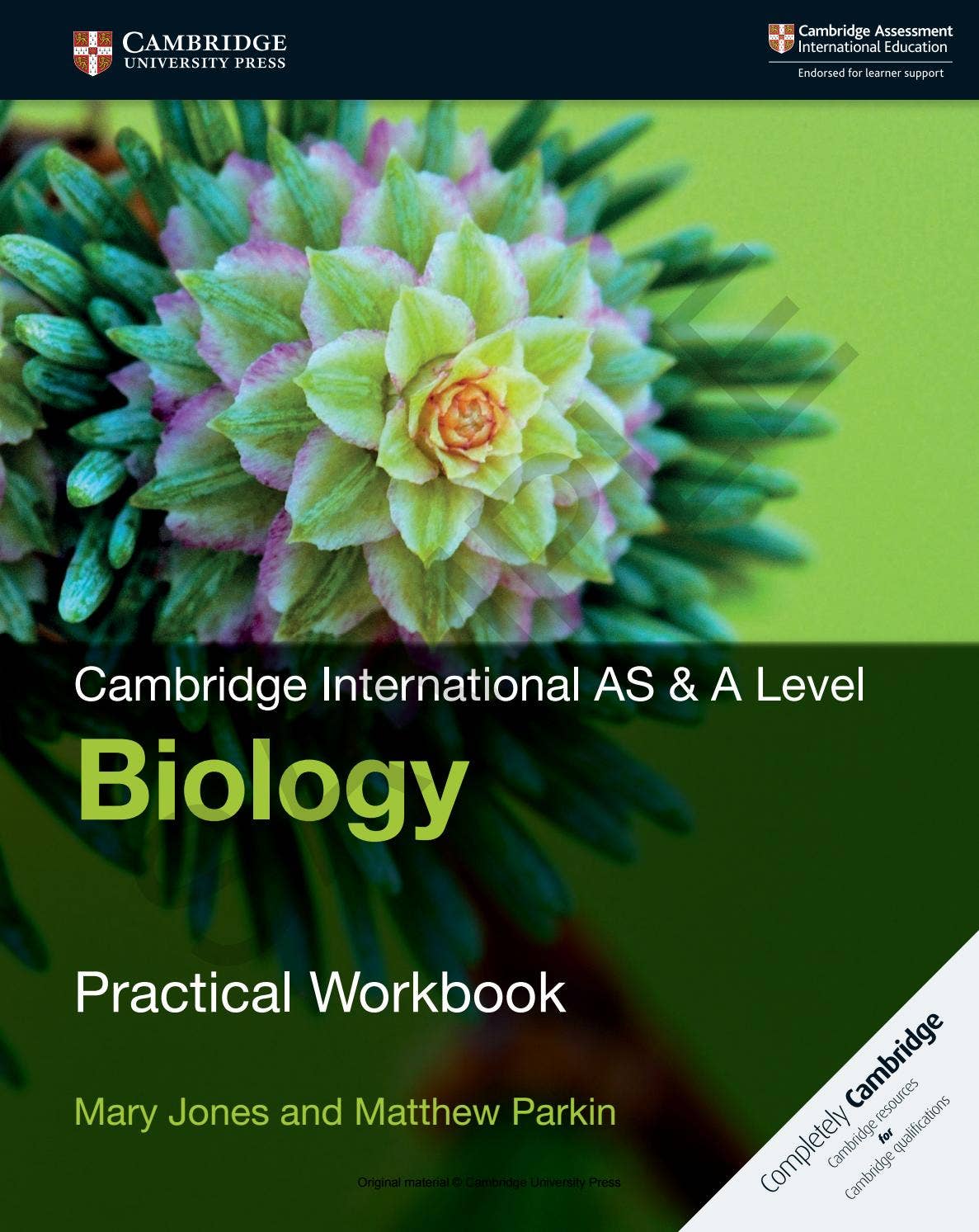 洋書 The Biology and Ecology 洋書 The Biology and Ecology
