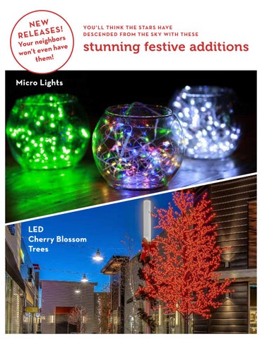 NOLM Annual Holiday Festive Event 户外照明 指南 2018 第 4 页