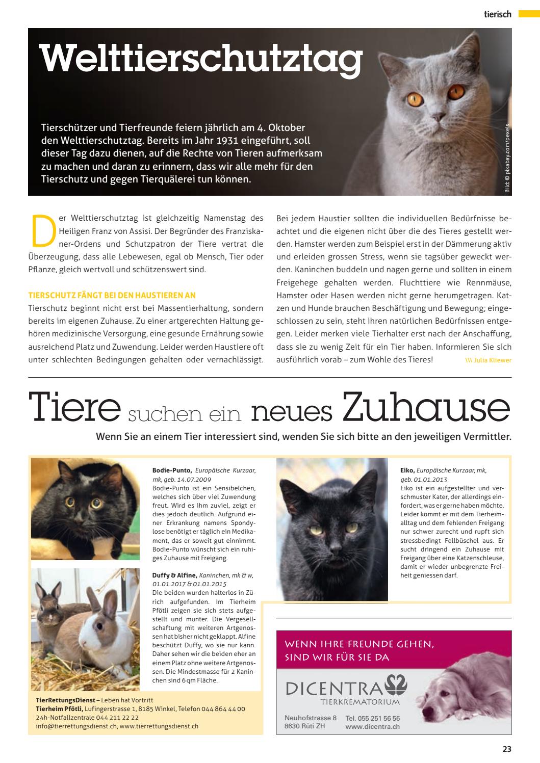 Stadtmagazin Oktober 2018 By Inpuncto Verlag Issuu