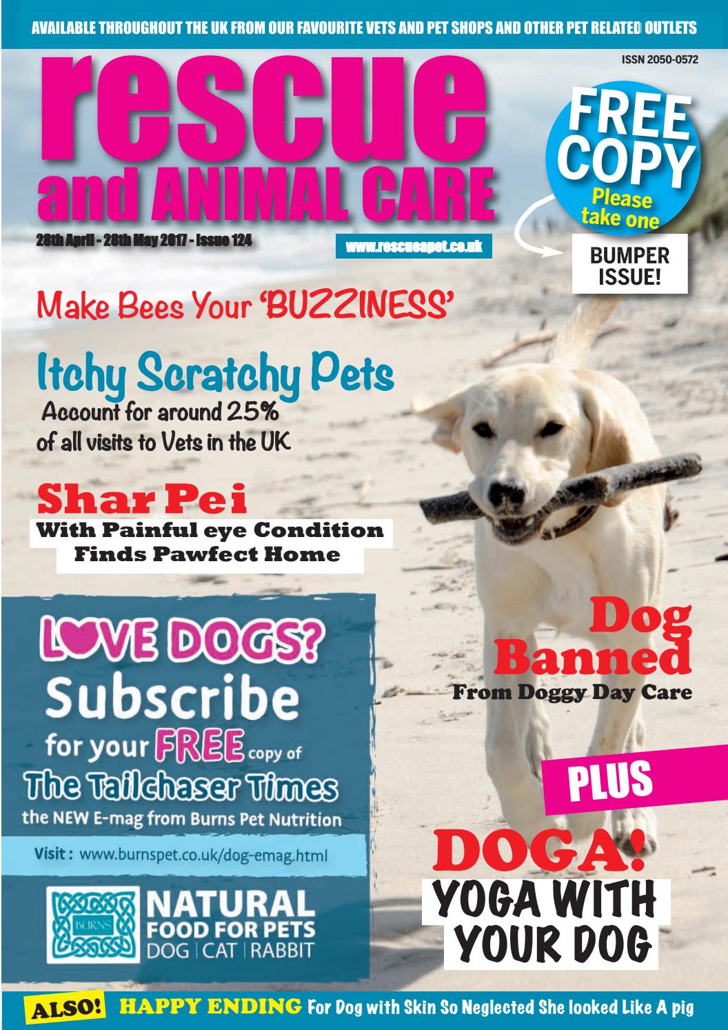DOG ON TOILET FUNNY COMIC PERSONALISED BIRTHDAY CARD SHIH TZU STAFFY LAB /& PUG