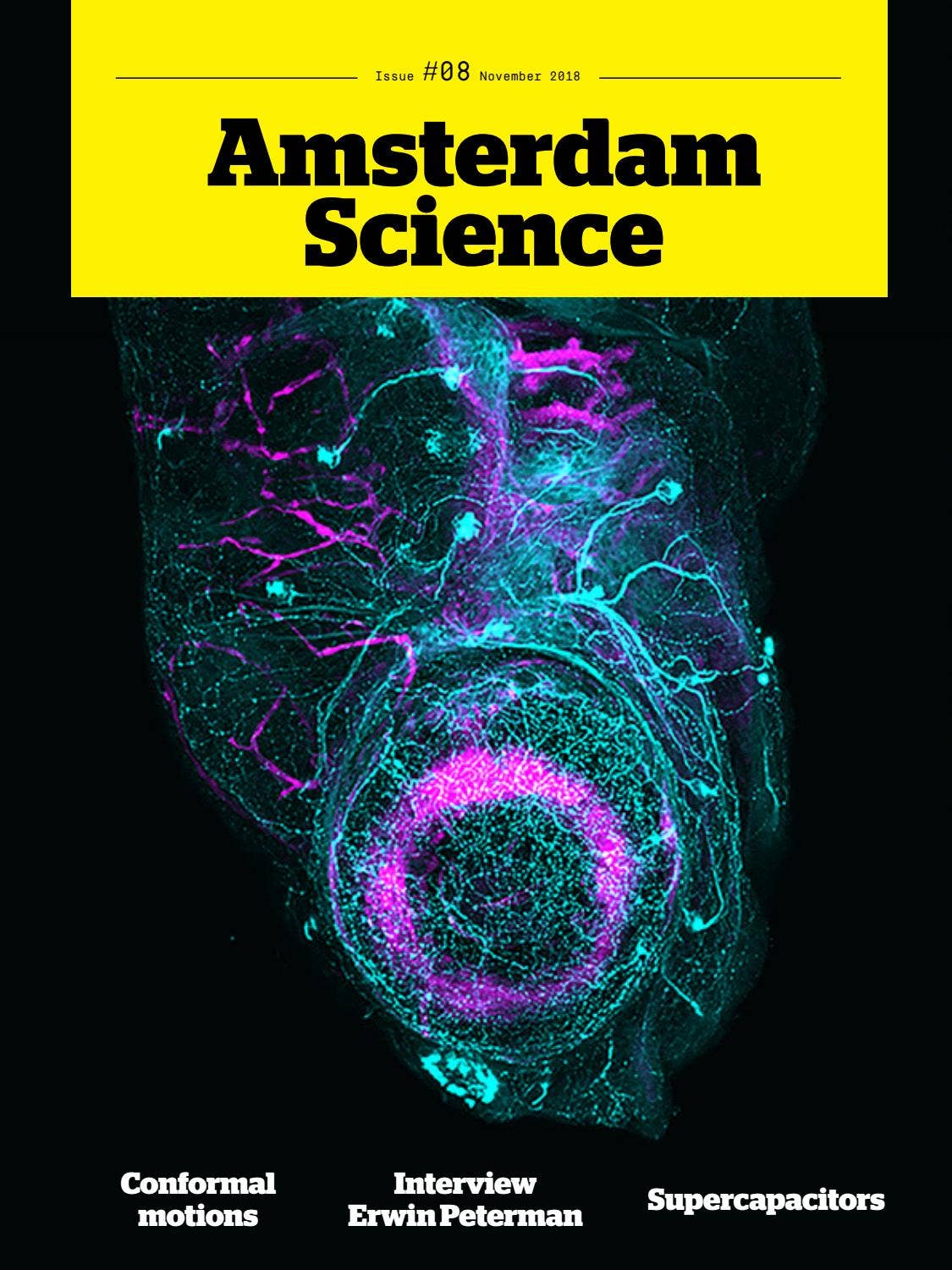 Amsterdam Science magazine issue 8 by Amsterdam Science - Issuu