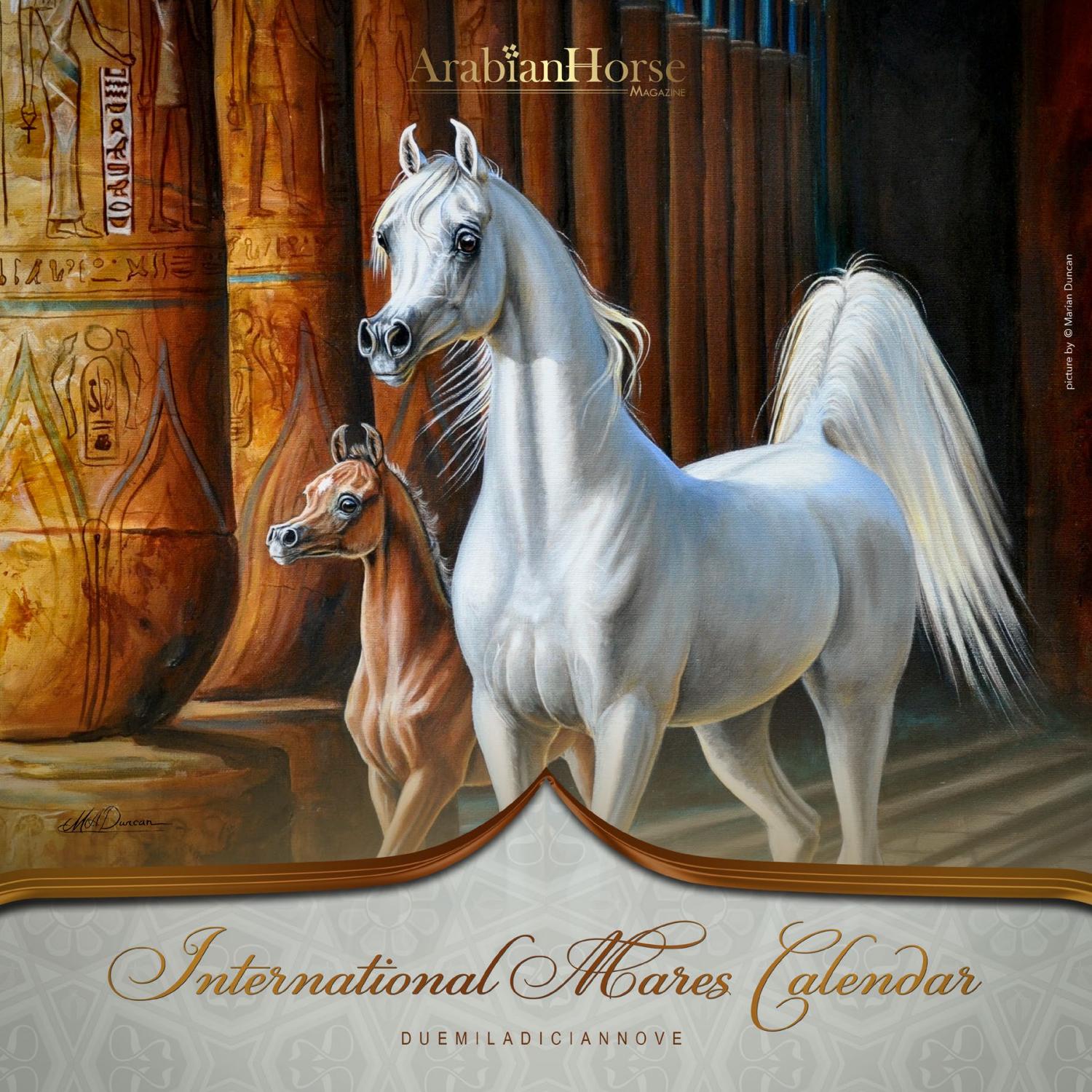 International Mares Calendar 2019 By Arabian Horse Magazine Issuu