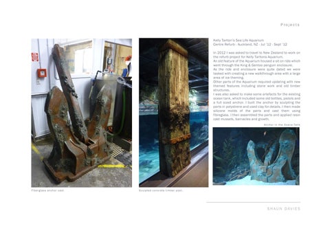 Shaun Davies - Sculptor / Scenic Artist Portfolio (2015) 第 11 页