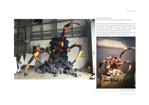 Shaun Davies - Sculptor / Scenic Artist Portfolio (2015) 第 15 页