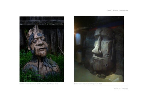 Shaun Davies - Sculptor / Scenic Artist Portfolio (2015) 第 21 页